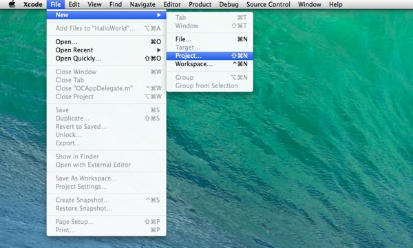 Xcode 5: Neues Projekt Screenshot