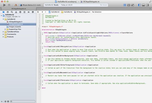 Xcode 5: Ansicht auf das neue Projekt Screenshot