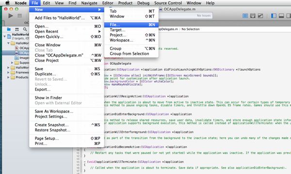 Xcode 5: Neue Datei anlegen Screenshot